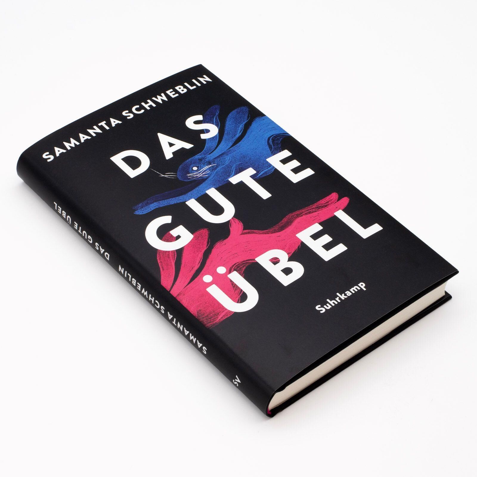 Innenansicht zu Schweblin, S: Das gute Übel