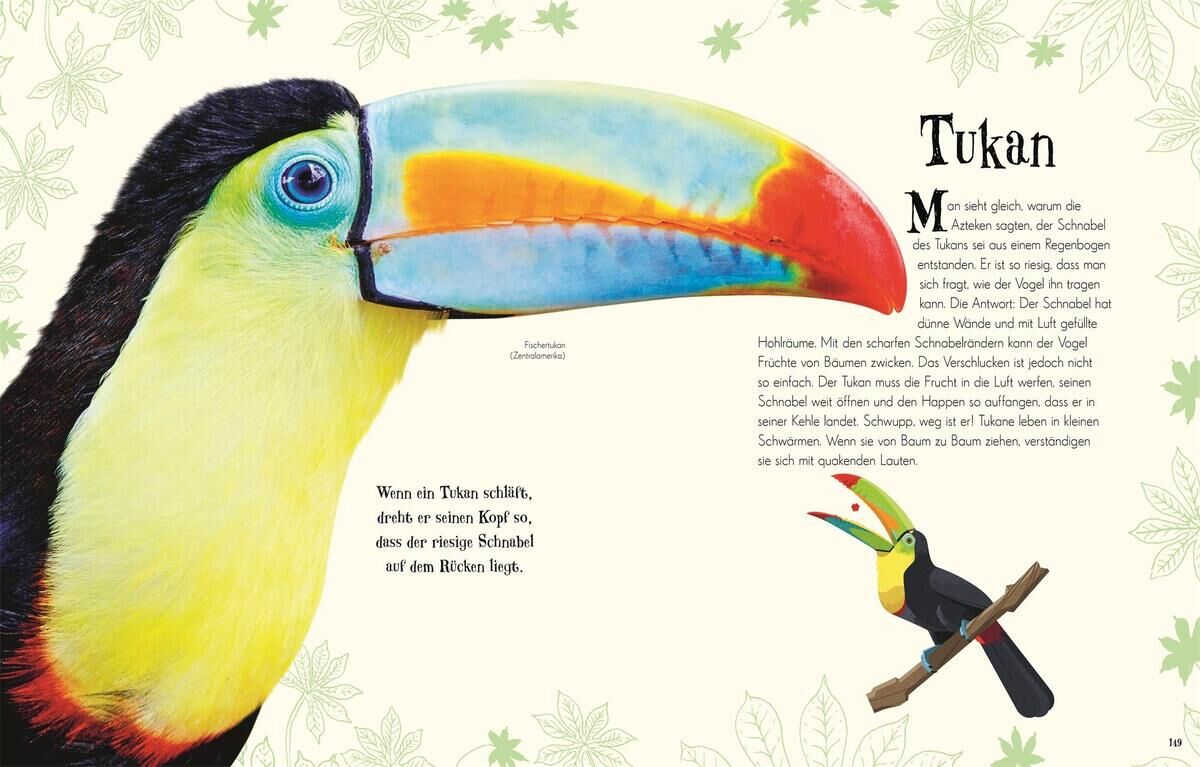 Einseitige Illustration eines Tukans aus dem Buch 'Wundervolle Welt der Tiere'. Der Tukan hat einen großen, bunten Schnabel und schwarze Federn. Der Hintergrund ist cremefarben mit blassen Blattmustern. Der Text auf der Seite liefert Informationen über den Tukan.