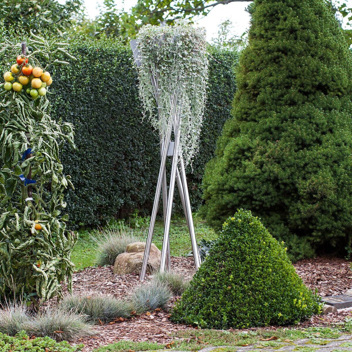 Ein Hochbeet im Garten mit verschiedenen Pflanzen und Sträuchern, umgeben von grünen Hecken und dekorativen Felsen.