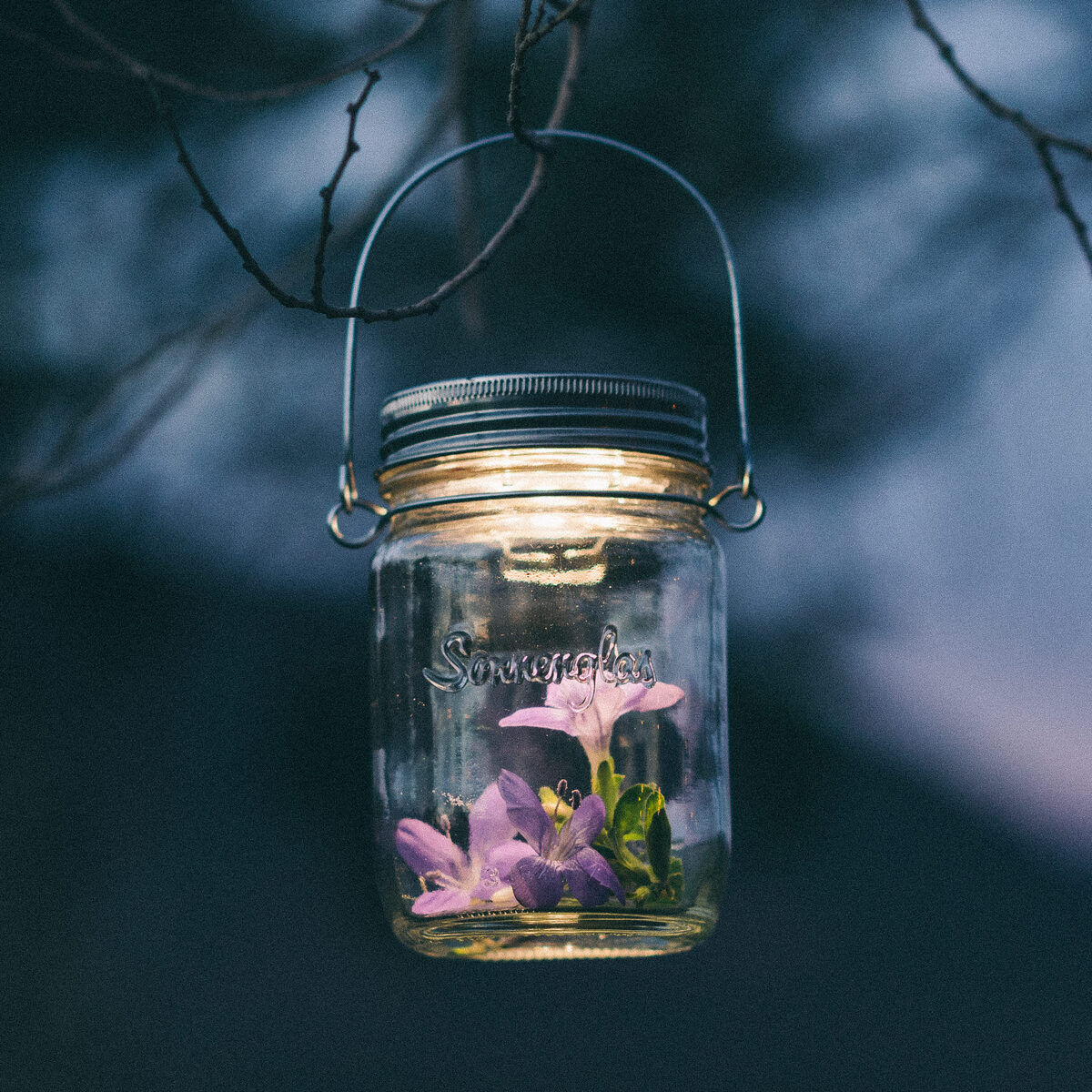 Ein Glas mit einem Solarlicht, bekannt als Sonnenglas, hängt an einem Ast. Im Inneren des Glases sind lila Blumen zu sehen. Der Hintergrund ist dunkel und unscharf, was auf die Nacht oder den frühen Abend hinweist.