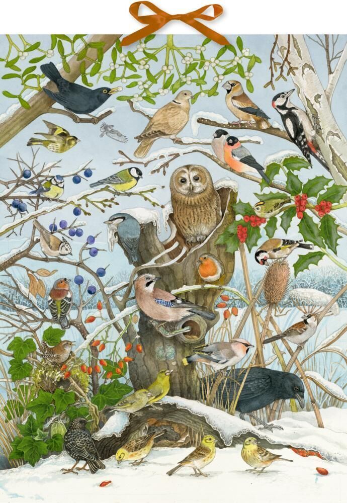 Illustration eines Adventskalenders mit verschiedenen Vogelarten in einer winterlichen Landschaft. Ein Eulen sitzt auf einem Holzstamm in der Mitte, umgeben von verschiedenen bunten Vögeln, Beeren und schneebedeckten Ästen.