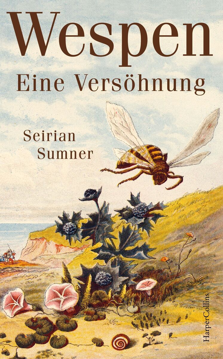 Buchcover des Titels 'Wespen – Eine Versöhnung' von Seirian Sumner. Eine Illustration einer Wespe, die über Pflanzen und Blumen an einem Ufer fliegt, ist zu sehen. Hintergrund zeigt eine malerische Landschaft mit Klippen und Meer.