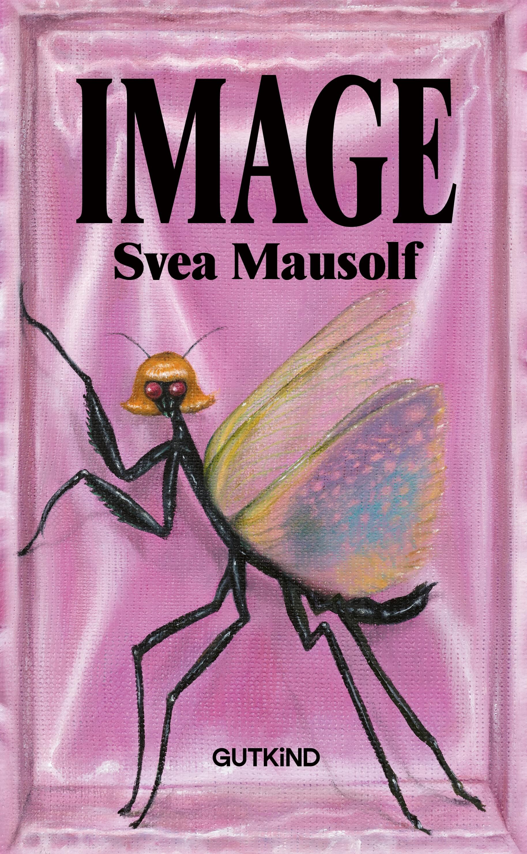 Cover Mausolf, S: Image