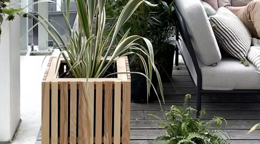 Pflanze mit langen grünen Blättern in einem rechteckigen Holzpflanzkübel neben einer grauen Gartensofa mit Kissen