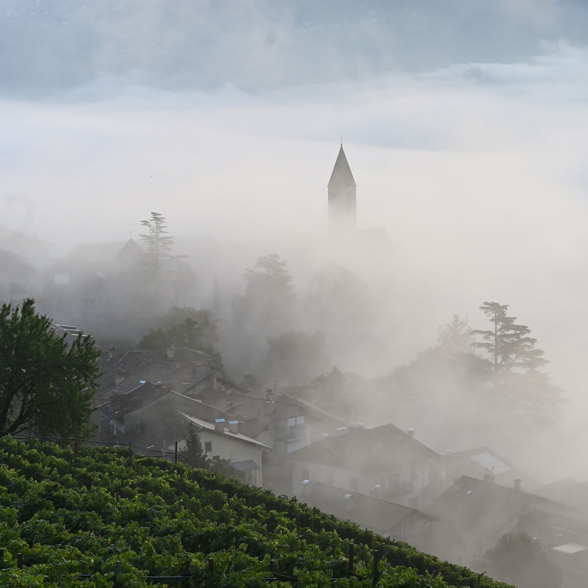 Dichter Morgennebel liegt über einem südtiroler Weinberg und einem kleinen Dorf, aus dem ein Kirchturm herausragt. Im Hintergrund erhebt sich ein bewaldeter Berghang, der teils in Wolken gehüllt ist. Die Szene wirkt ruhig, mystisch und naturverbunden.