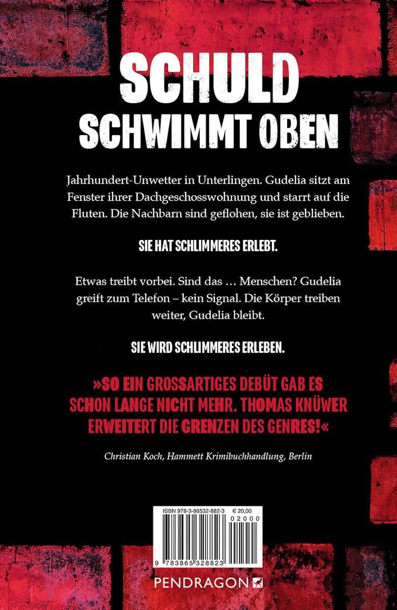 Rückansicht - Knüwer, T: Haus in dem Gudelia stirbt