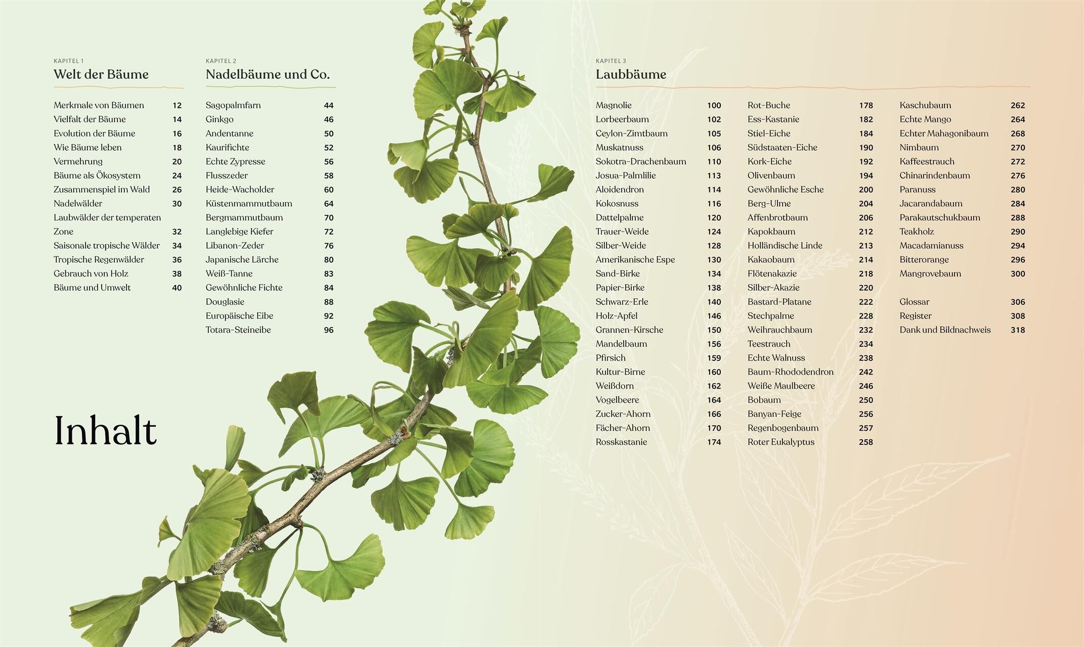 Innenansicht zu Scott, M: Bäume - Eine Natur- und Kulturgeschichte