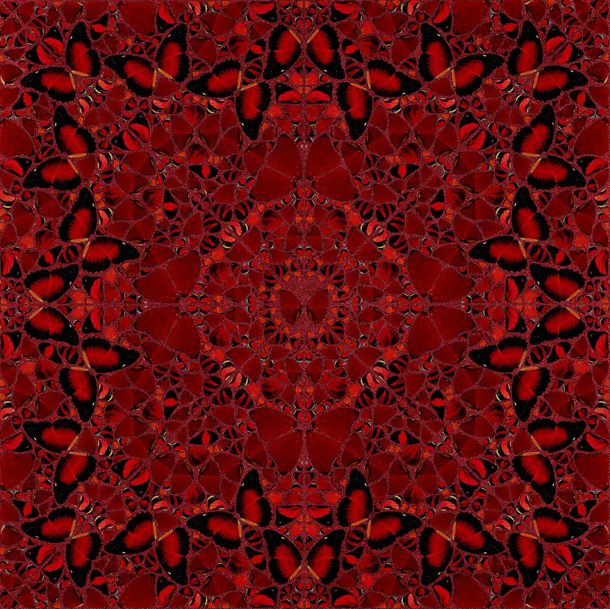 Ein Kunstwerk von Damien Hirst mit dem Titel »Nūr Jahān« aus der Serie The Empresses, 2022. Das Bild zeigt eine symmetrische Anordnung von roten und schwarzen Schmetterlingsflügeln, die ein komplexes, detailreiches Muster bilden.