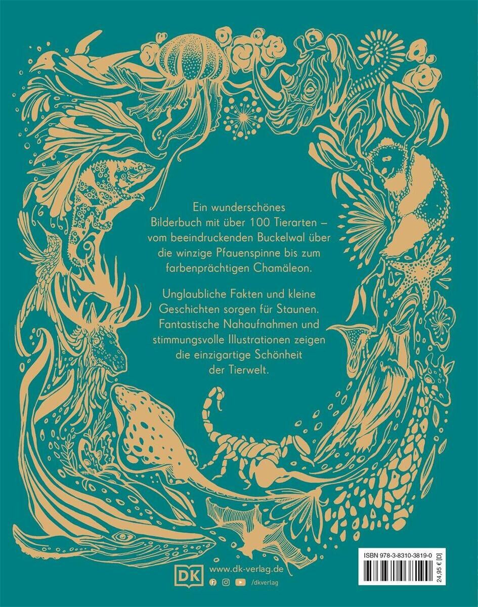 Das Bild zeigt das Buchcover von 'Wundervolle Welt der Tiere'. Der Einband ist in Türkis mit beigen Illustrationen diverser Tiere gestaltet, darunter Wale, Chamäleons, und Schmetterlinge. Zentral steht ein Text, der die Schönheit der Tierwelt hervorhebt.