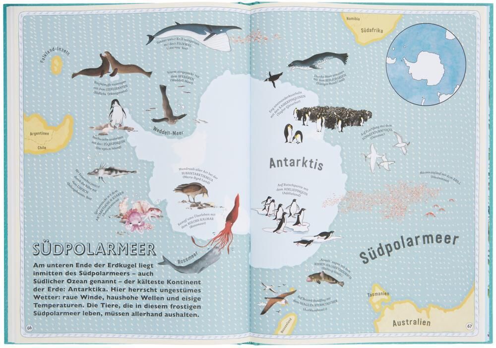 Eine Doppelseite des Buches 'Der Atlas der Ozeane' zeigt eine detaillierte Karte des Südpolarmeers und der Antarktis mit Illustrationen verschiedener Meerestiere wie Wale, Pinguine und Robben. Beschriftungen und informativen Texte sind verteilt auf der Seite.