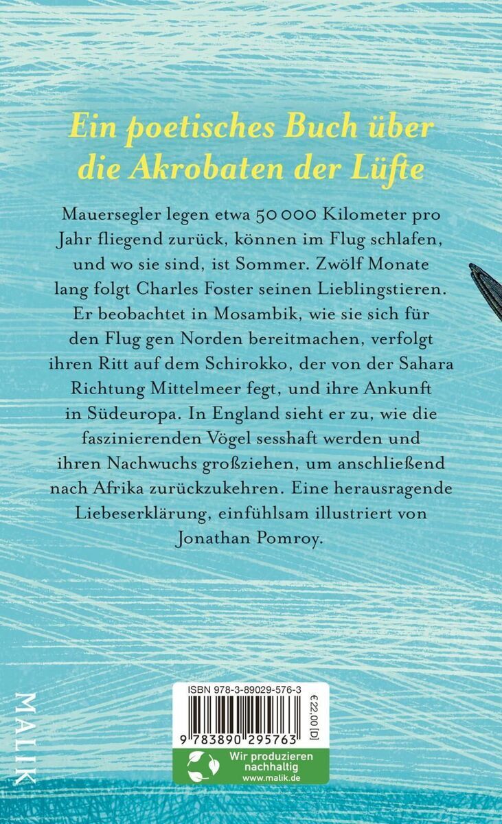 Buchumschlag von 'Der Ruf des Sommers' von Charles Foster. Ein poetisches Buch über Mauersegler, die jährlich 50.000 Kilometer fliegen. Das Cover zeigt eine Illustration von fliegenden Vögeln über blauem Himmel und gelbem Text.
