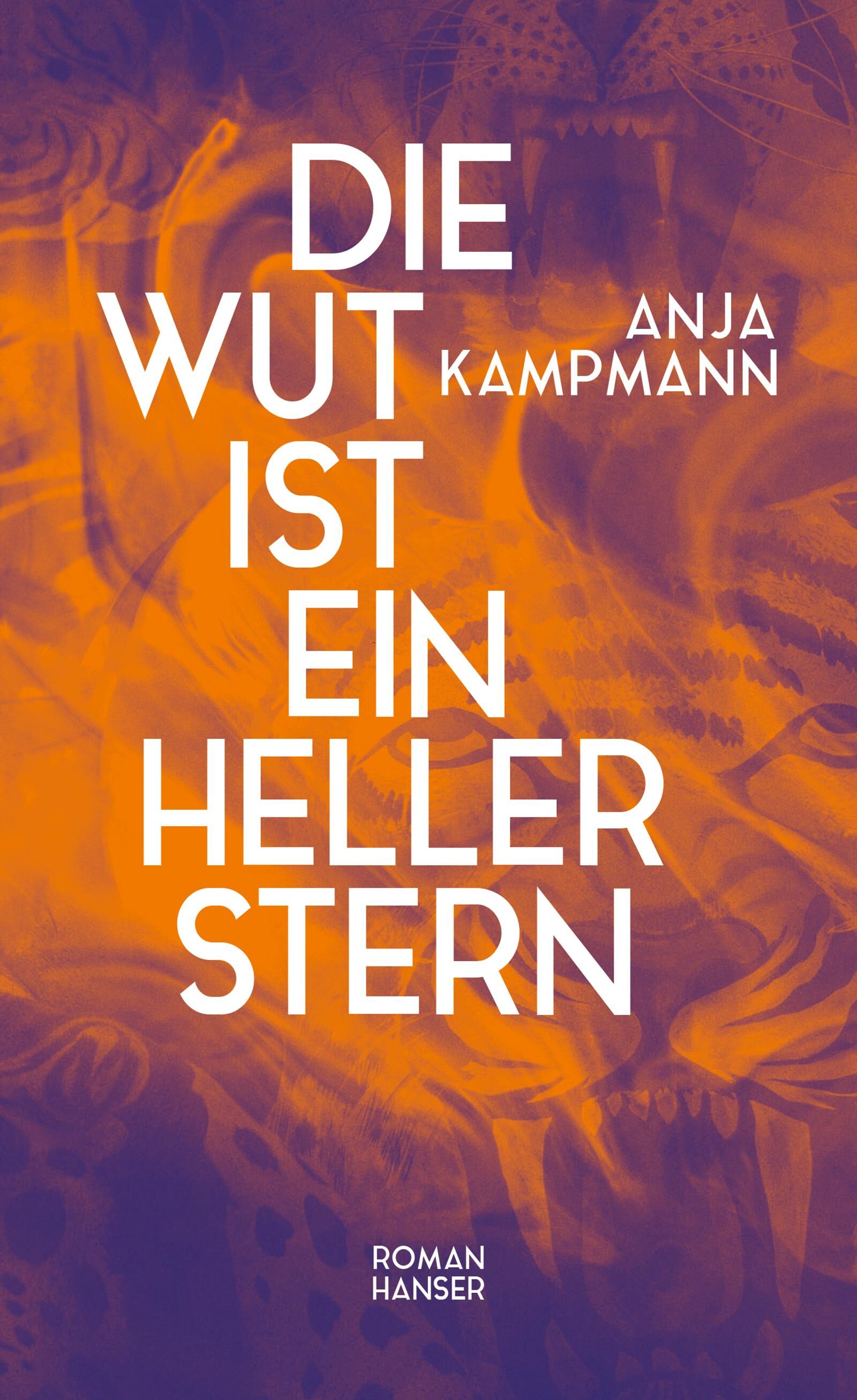 Cover Kampmann, A: Wut ist ein heller Stern