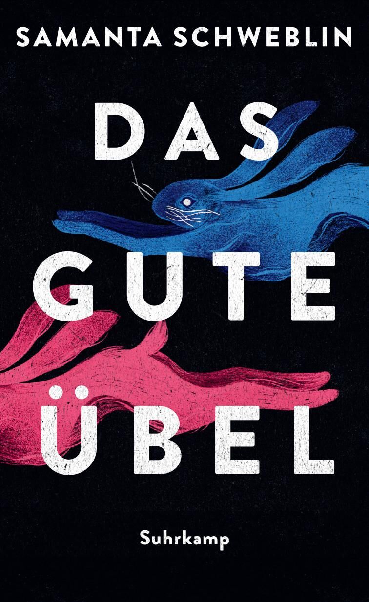 Cover Schweblin, S: Das gute Übel