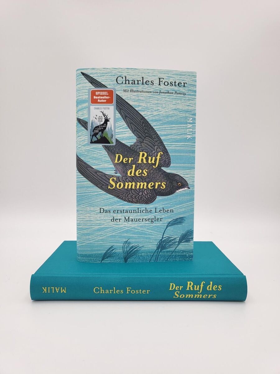 Das Bild zeigt das Buch 'Der Ruf des Sommers' von Charles Foster. Das Cover ist blau und zeigt eine Illustration eines fliegenden Mauerseglers.