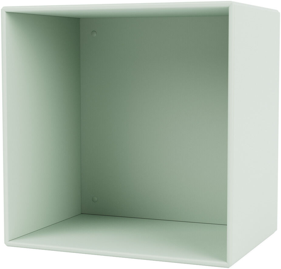 Ein hellgrünes, quadratisches Regalmodul von Montana, Modell »Mini 1001«, vor weißem Hintergrund. Das Regal hat ein einfaches, minimalistisches und modernes Design.