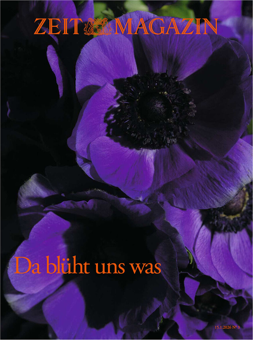 Das Cover des ZEIT Magazins zeigt eine Nahaufnahme von leuchtend violetten Blüten mit dunklem Zentrum, die dramatisch im Licht erstrahlen. Der Hintergrund ist dunkel gehalten, die Blütenblätter dominieren das Bild. Der Magazin-Titel ist oben in orange-gelber Schrift zu sehen, unten steht "Da blüht uns was" in Orange.