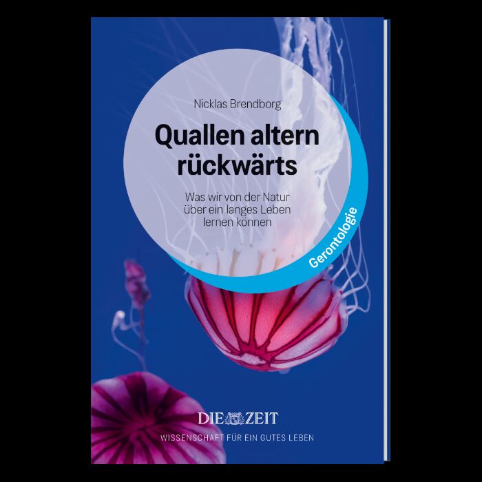 Buchcover der ZEIT-Edition »Wissenschaft für ein gutes Leben« mit einem leuchtend blauen Hintergrund, darauf eine Qualle und ein markanter Buchtitel. Geeignet für Leserinnen und Leser, die an Naturwissenschaften, Forschung und Nachhaltigkeit interessiert sind.
