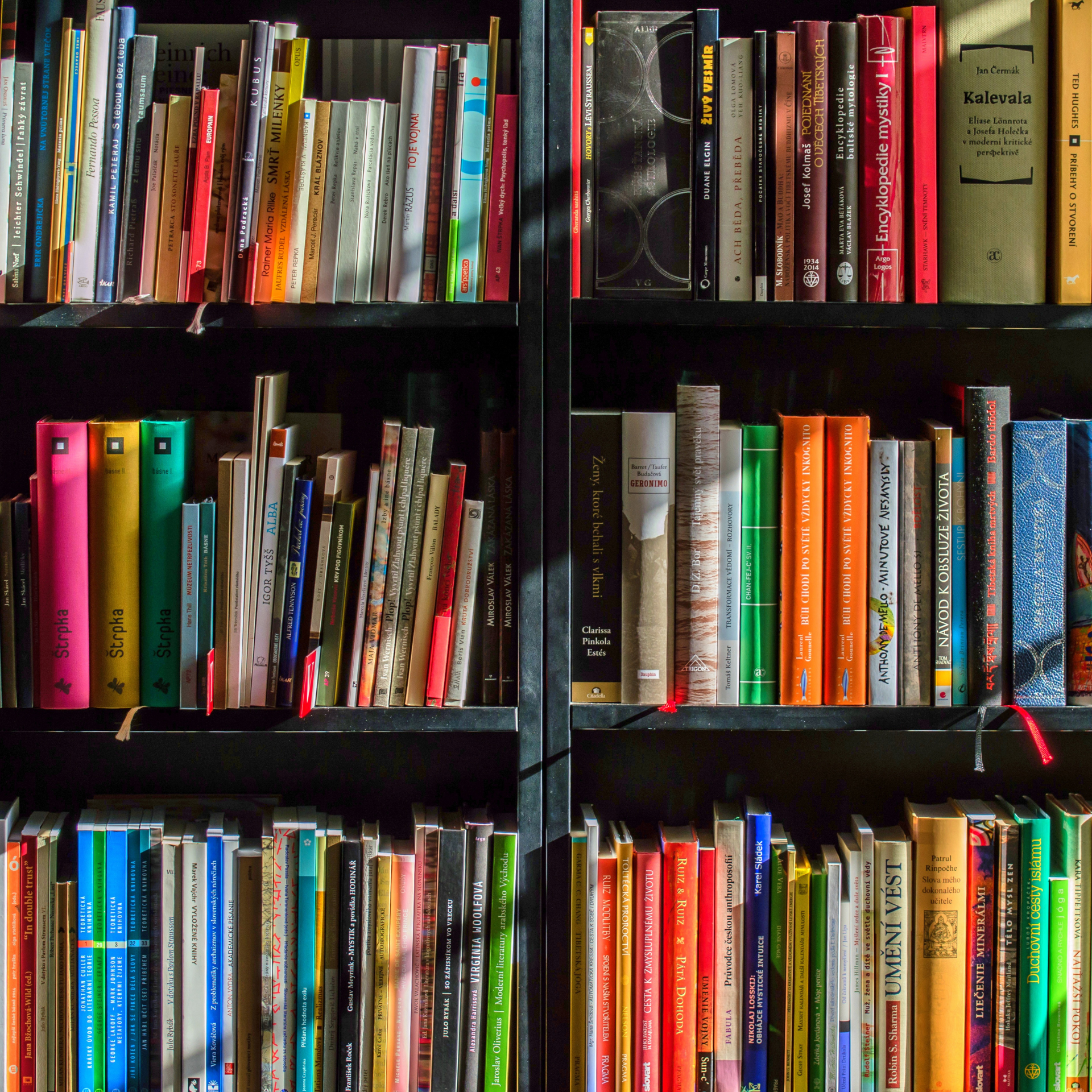 Link zur Kategorie Bücher nach Genre. Das Bild zeigt ein gut gefülltes Bücherregal mit zahlreichen, unterschiedlich farbigen Büchern.