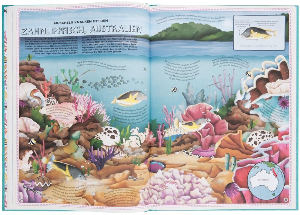 Eine aufgeschlagene bunte Seite aus dem Buch 'Der Atlas der Ozeane', das die Unterwasserwelt von Korallenriffen in Australien zeigt. Die Seite enthält illustrierte Fische, Korallen und Seepflanzen sowie informativen Text.