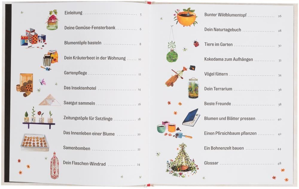 Innenansicht zu Grüner wird's nicht!