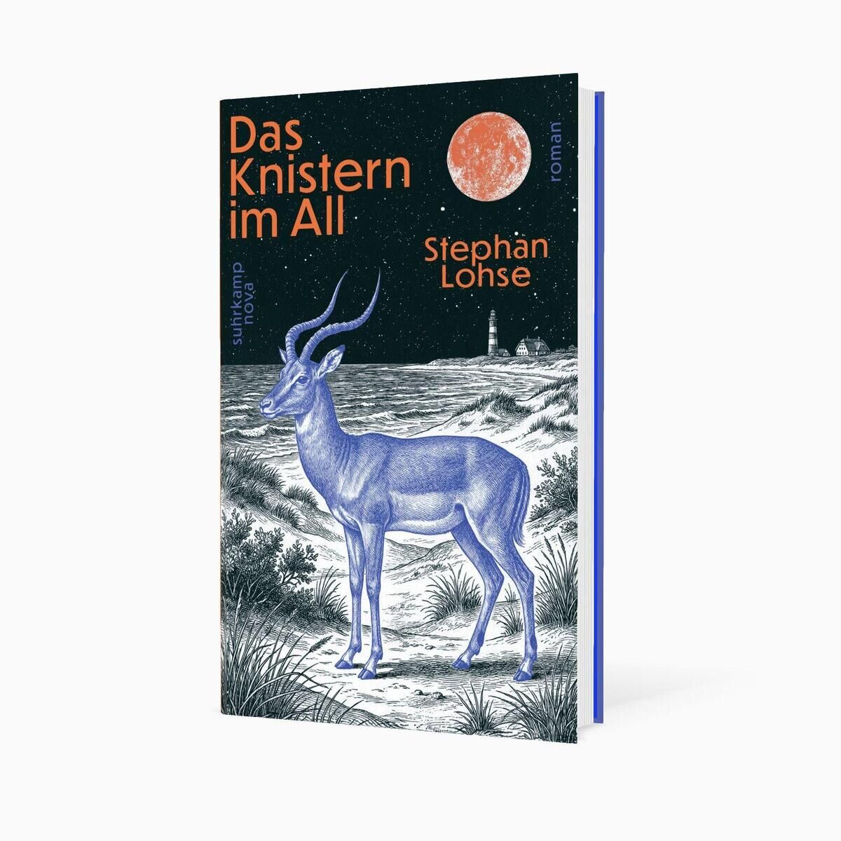 Innenansicht zu Lohse, S: Knistern im All