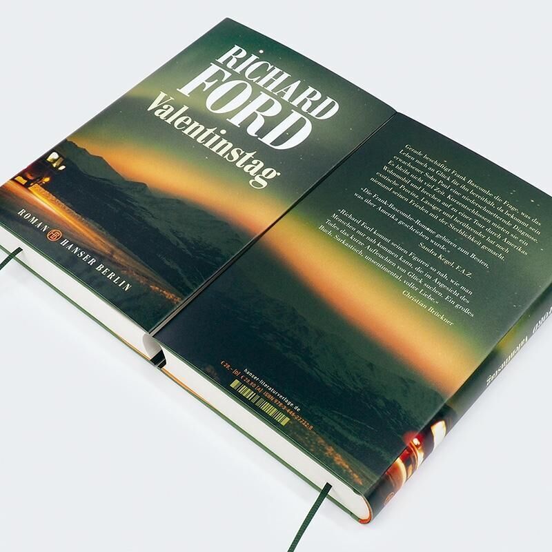 Ein Buch mit dem Titel 'Richard Ford: Valentinstag' liegt geöffnet auf einem weißen Hintergrund. Das Cover zeigt eine Landschaft bei Dämmerung mit dunklen Hügeln und einem farbenfrohen Himmel.