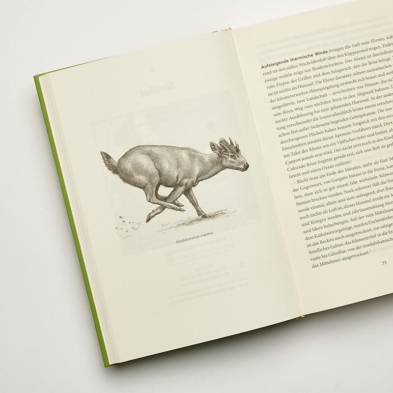Ein aufgeschlagenes Buch mit grünem Einband. Auf der linken Seite ist eine detaillierte Illustration eines urzeitlichen Tieres, das an eine Antilope erinnert. Auf der rechten Seite ist Text gedruckt.