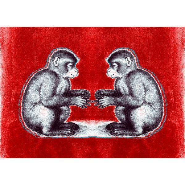 ZEIT-Sonderedition »Monkey Duo«